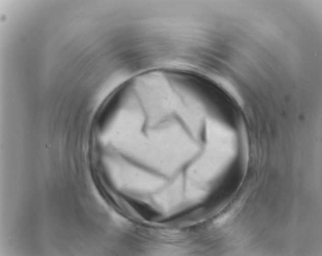 X0000089431007200707061339