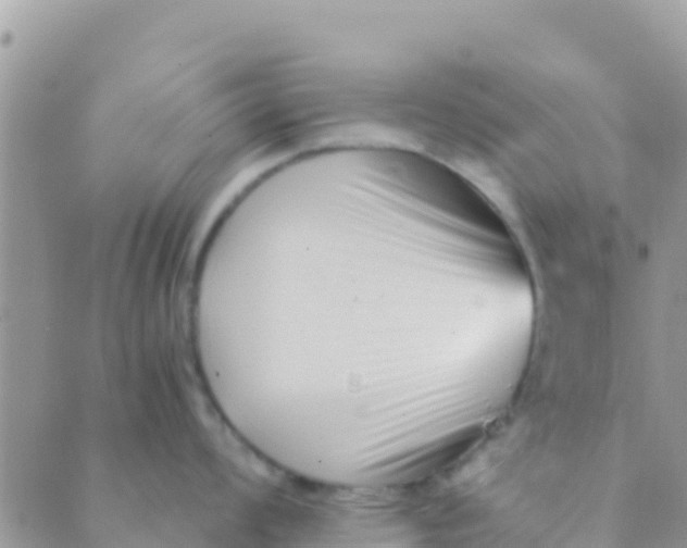 X0000089431008200707061339