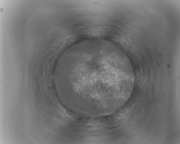 X0000089431009200707061338