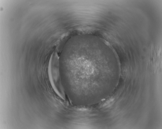 X0000089431010200707061338