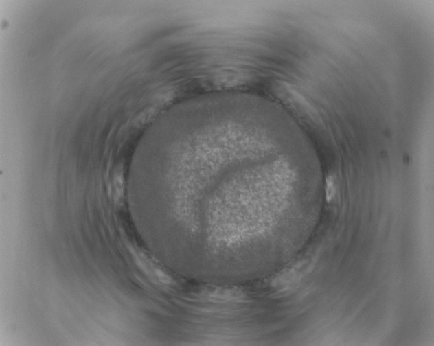 X0000089431011200707061338