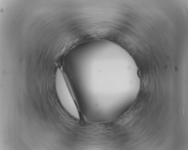 X0000089431012200707061338