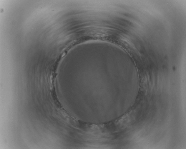 X0000089431013200707061338