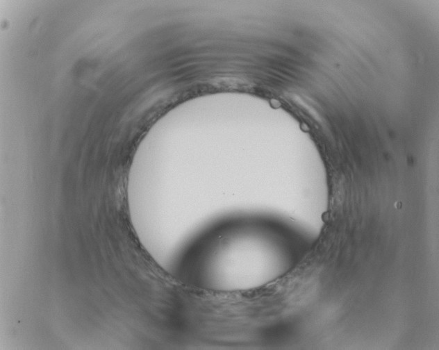 X0000089431015200707061338