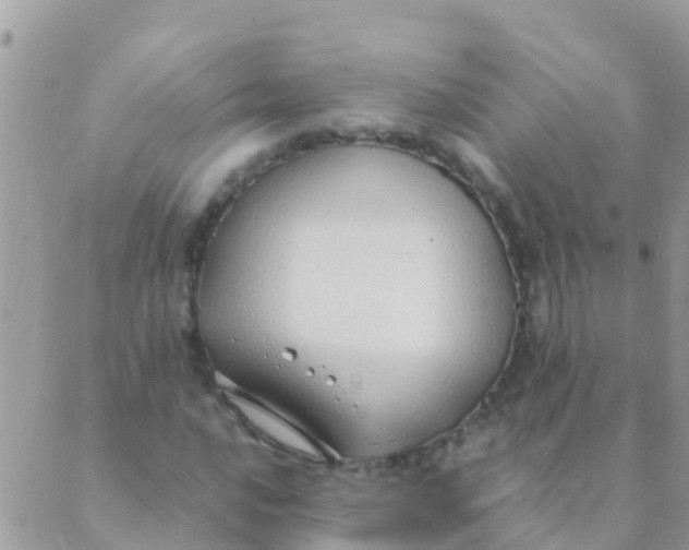 X0000089431016200707061338