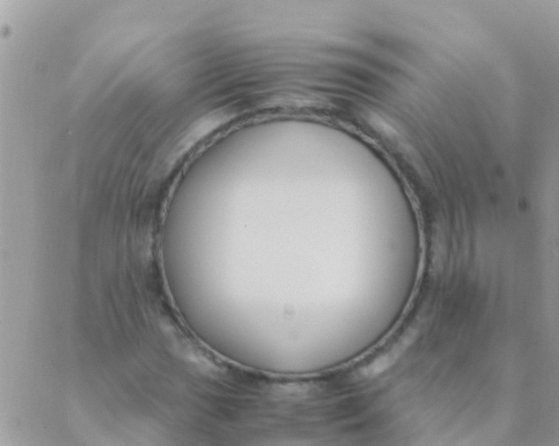 X0000089431017200707061338