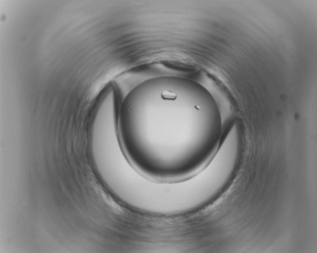 X0000089431018200707061338