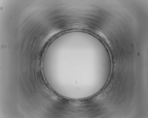 X0000089431019200707061338