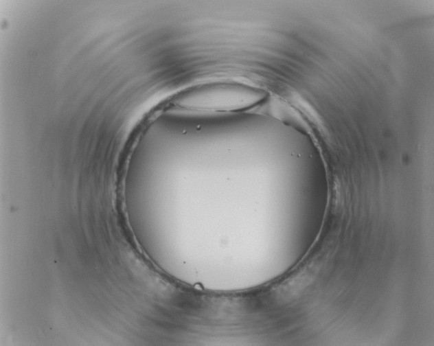 X0000089431020200707061338