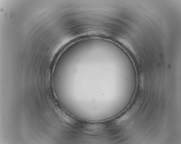 X0000089431021200707061338