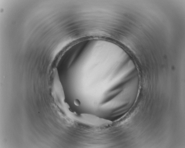 X0000089431022200707061338