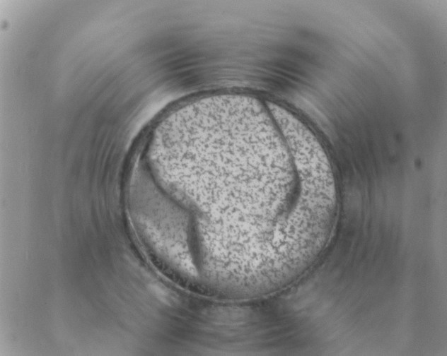 X0000089431023200707061338