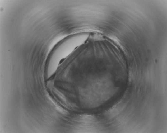 X0000089431024200707061338