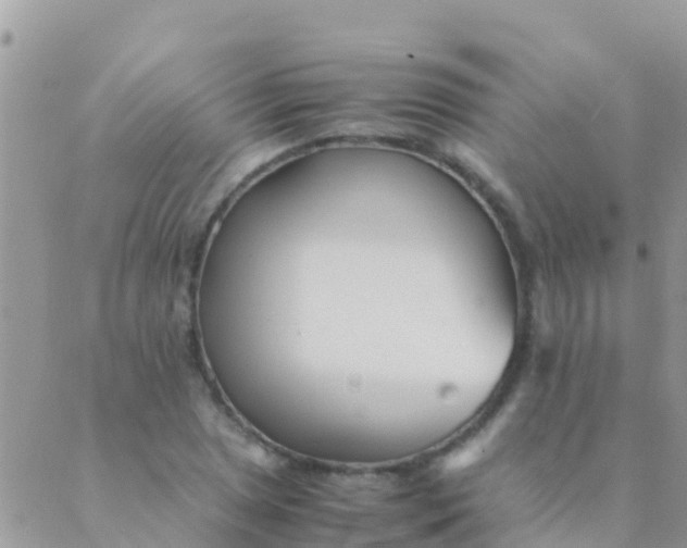 X0000089431025200707061338