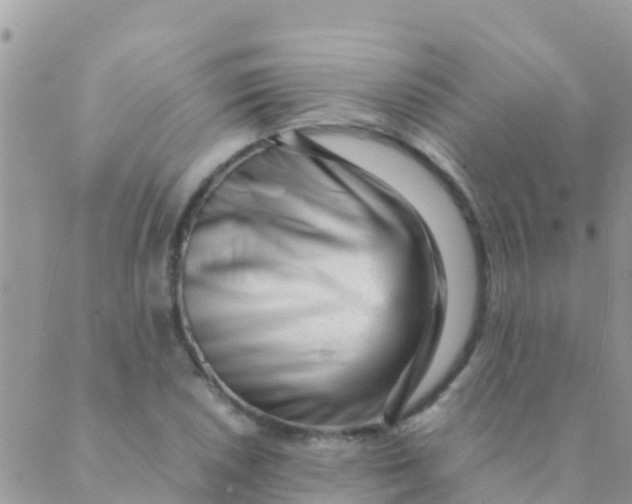 X0000089431026200707061338