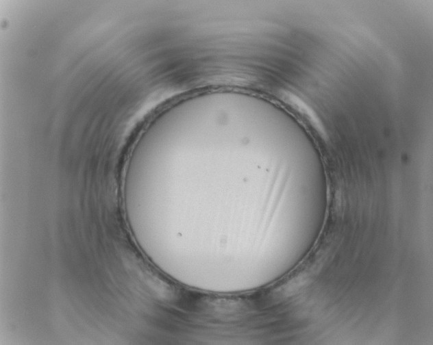 X0000089431027200707061338