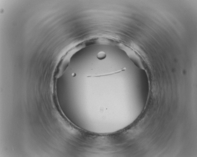 X0000089431028200707061338