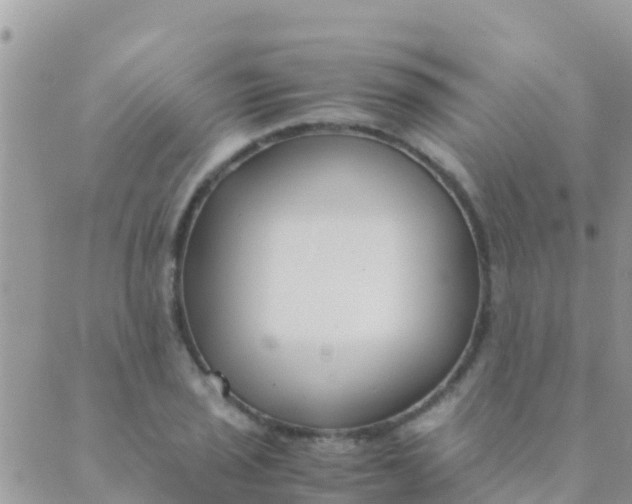 X0000089431029200707061338