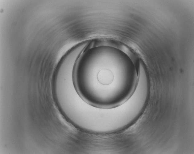 X0000089431030200707061338