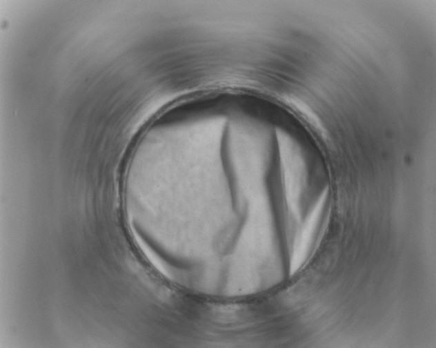 X0000089431031200707061338