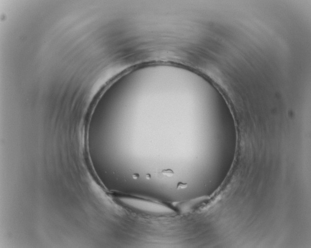 X0000089431032200707061338