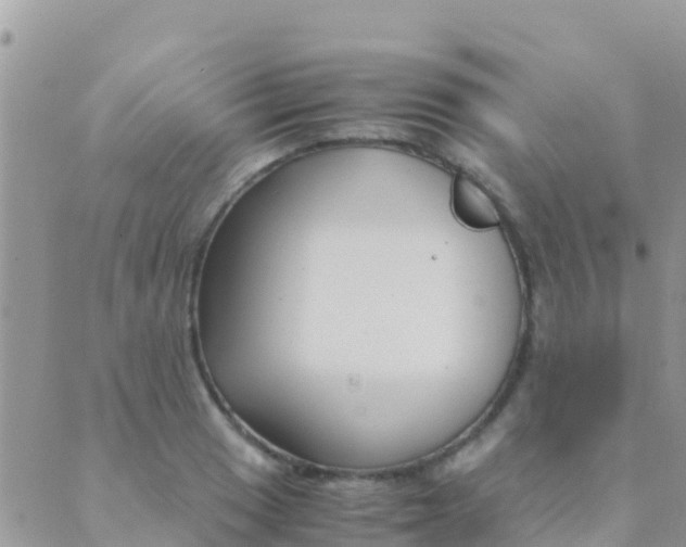 X0000089431033200707061338