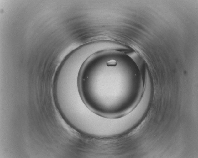 X0000089431034200707061338