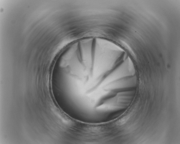 X0000089431035200707061338