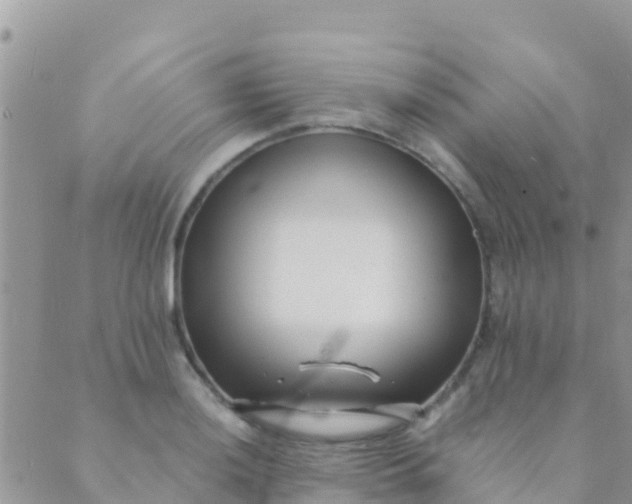 X0000089431036200707061338