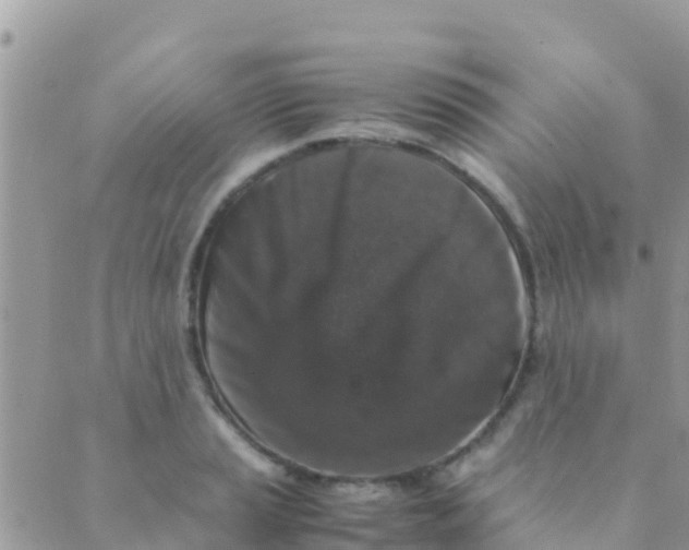 X0000089431037200707061338