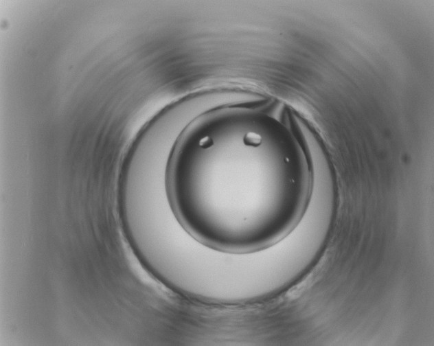 X0000089431038200707061338