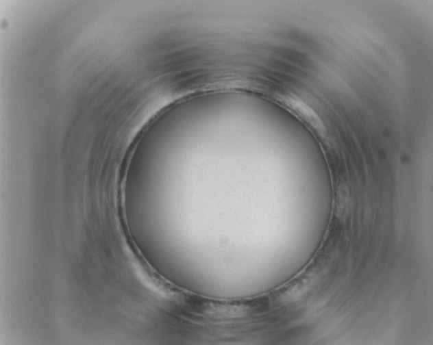 X0000089431039200707061338