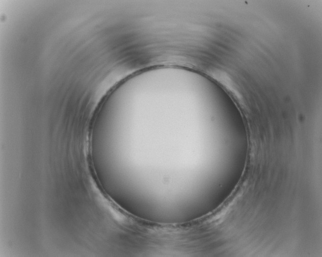 X0000089431040200707061338