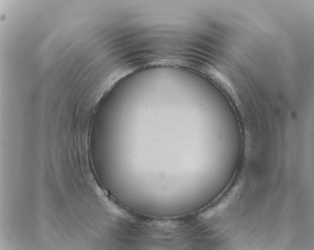 X0000089431041200707061338