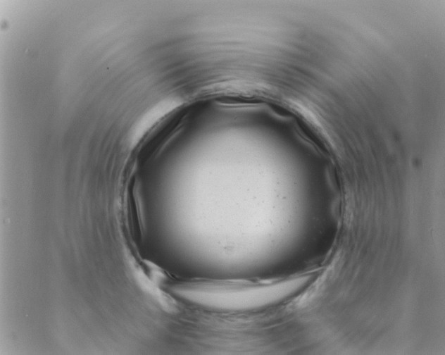 X0000089431042200707061339