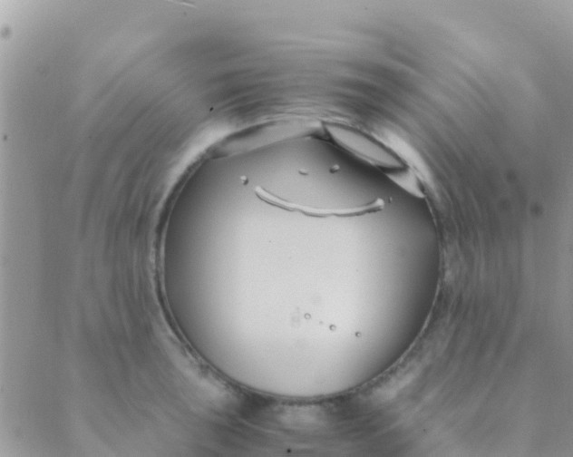 X0000089431043200707061339