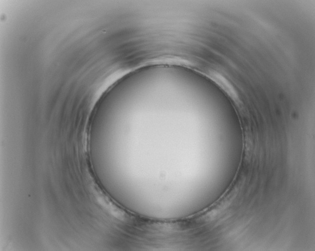 X0000089431044200707061339