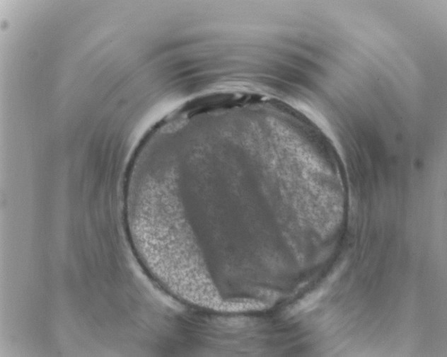 X0000089431045200707061339