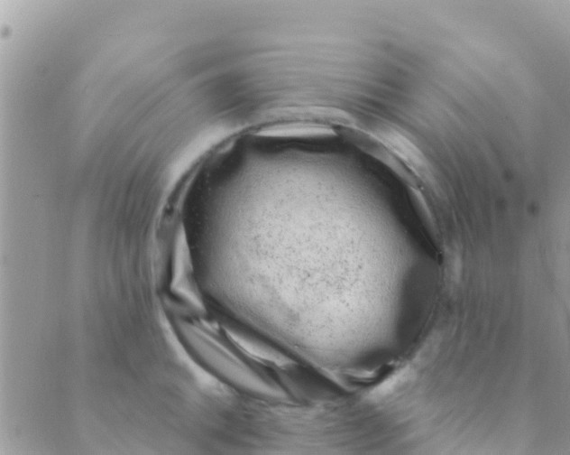 X0000089431046200707061339