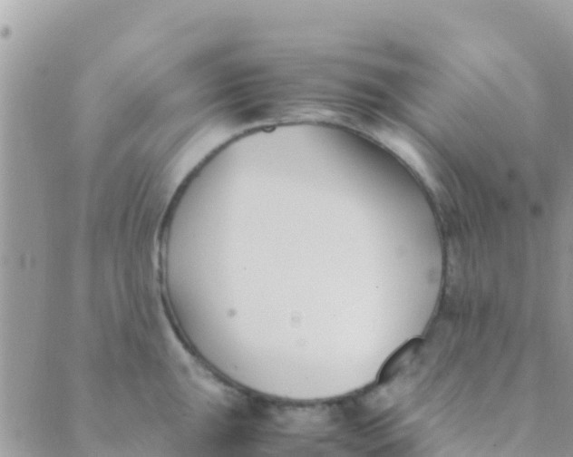 X0000089431047200707061339