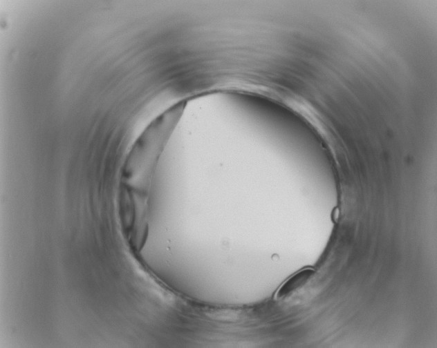 X0000089431048200707061339