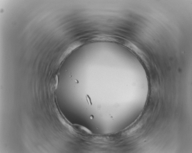 X0000089431049200707061339