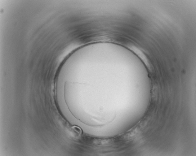 X0000089431051200707061339