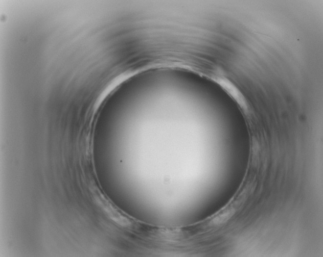 X0000089431052200707061339