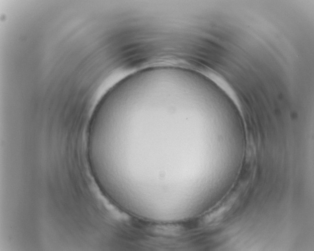 X0000089431053200707061339