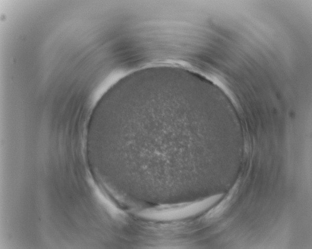 X0000089431054200707061339