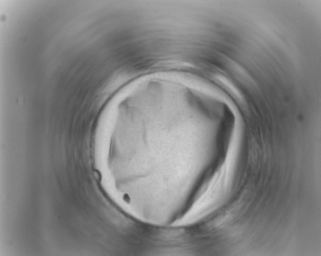 X0000089431055200707061339