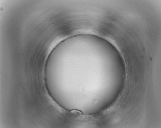 X0000089431056200707061339