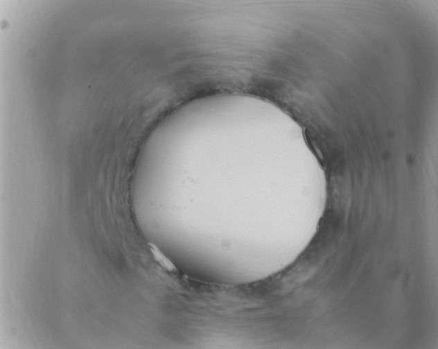 X0000089431057200707061338