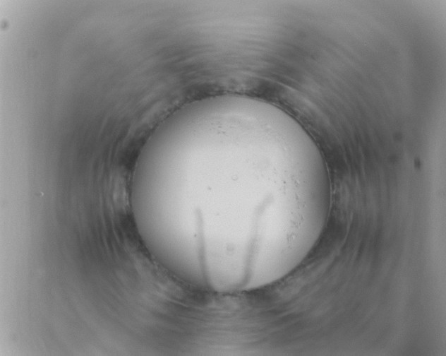 X0000089431058200707061338